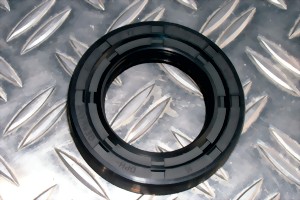 Wellendichring 091301189